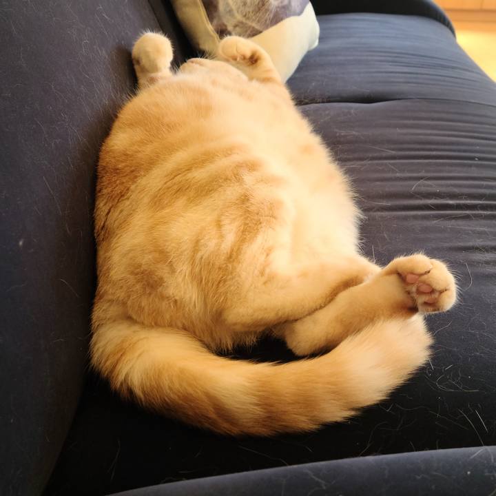 2aa565dd 3e58 4b5d 933f 830b25b20400 1602821238961