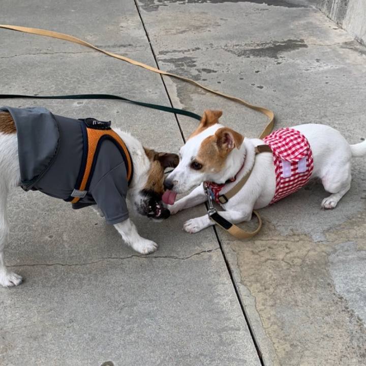 2aa5b1a0 0f76 4574 8390 ed46e86a9d84 1594463777093