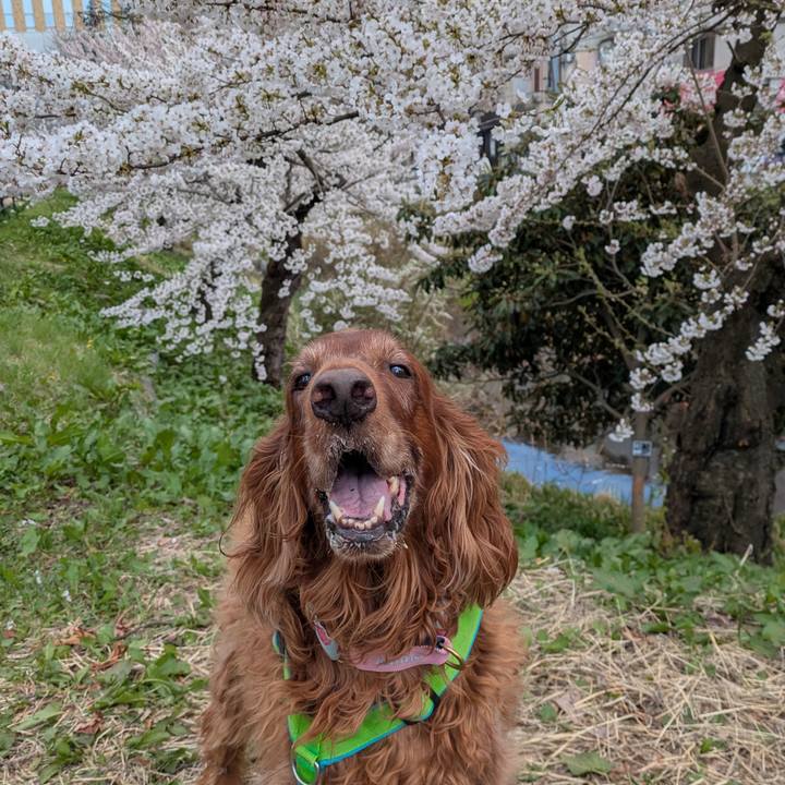 2aa5c73a 721c 412c 96e6 bab74346c7bc 1775976618887