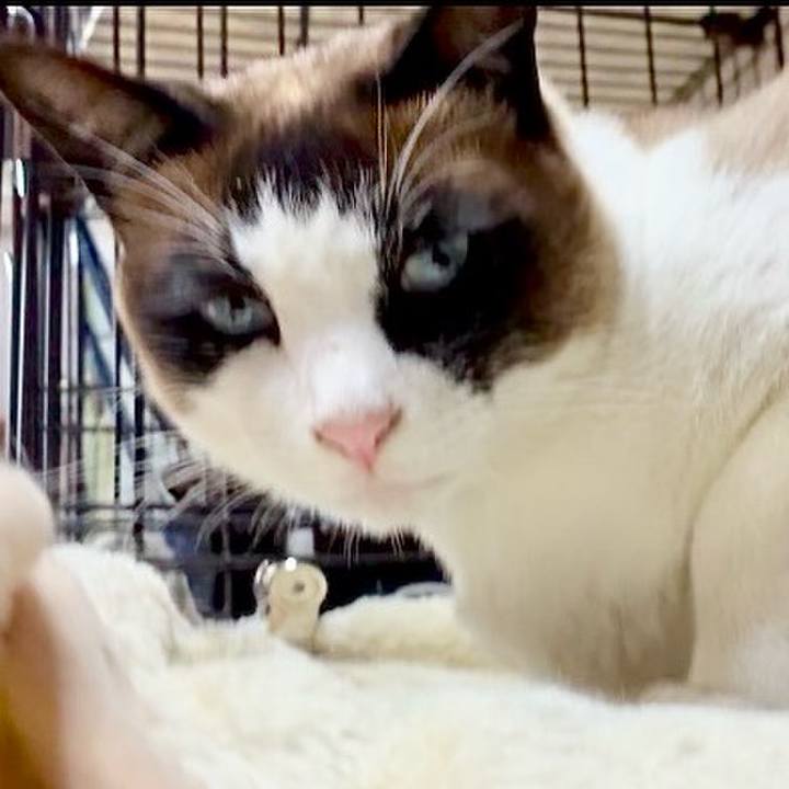 2aa5c80f 2155 42f5 abbf 34ca385f27b6 1748778774716