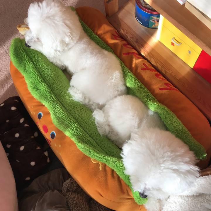 2aa65cc5 f0dd 40a7 ad9f cfb0244515c3 1576800785794