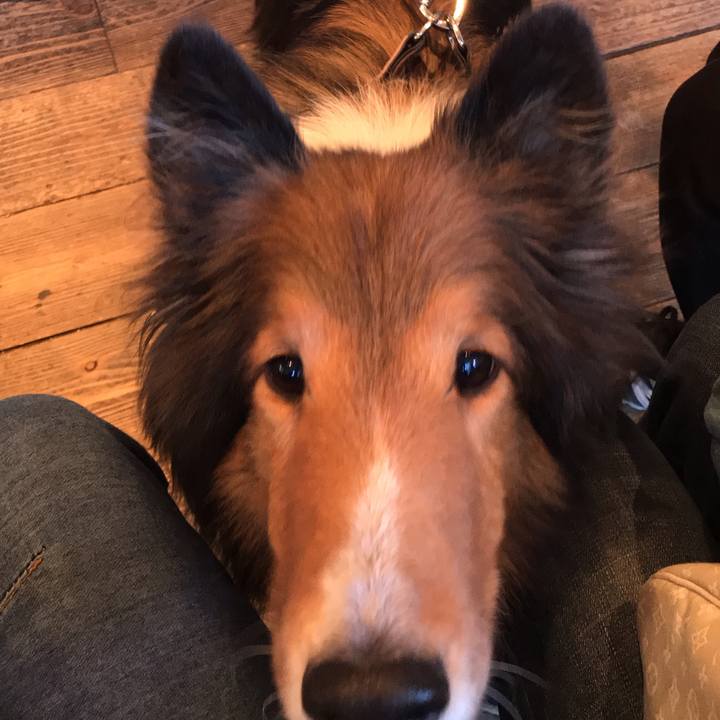 2aa66162 4a1a 4212 b112 4a535007433d 1552113870992