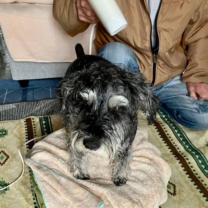 2aa68e29 4abf 4cc3 b42f 27f5580c2fda 1744245642190