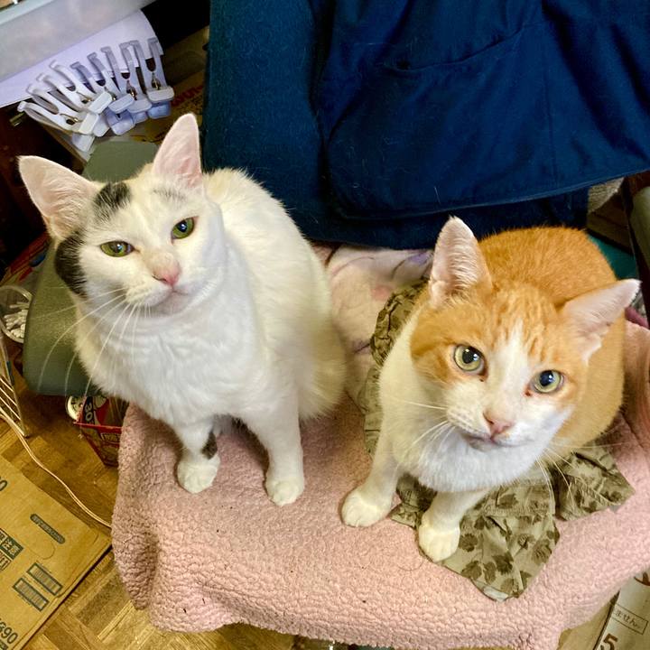 2aa6aa24 f91b 42a0 85e8 9d32a90d5256 1631672563194