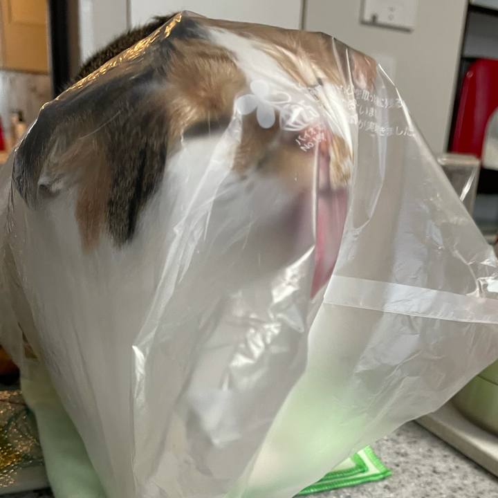 2aa750d2 382f 44c8 a622 ccc15a7867af 1605828845489