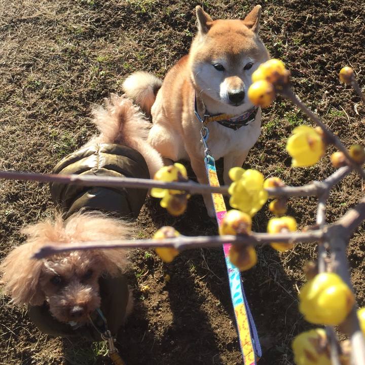 2aa76f1d dcc6 4d68 aba1 0e68c40a64a5 1517992344917