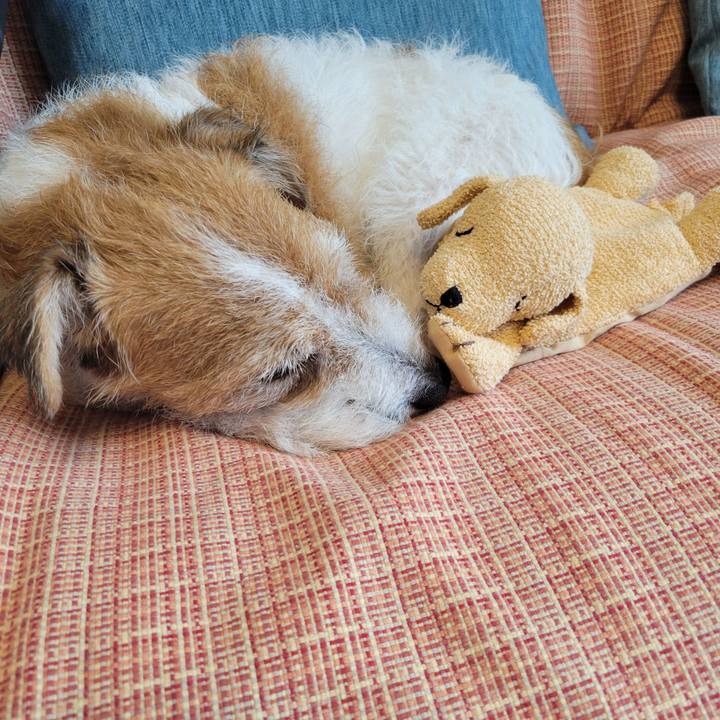 2aa770c5 d326 4106 b1b4 3f49f296a224 1724389854889