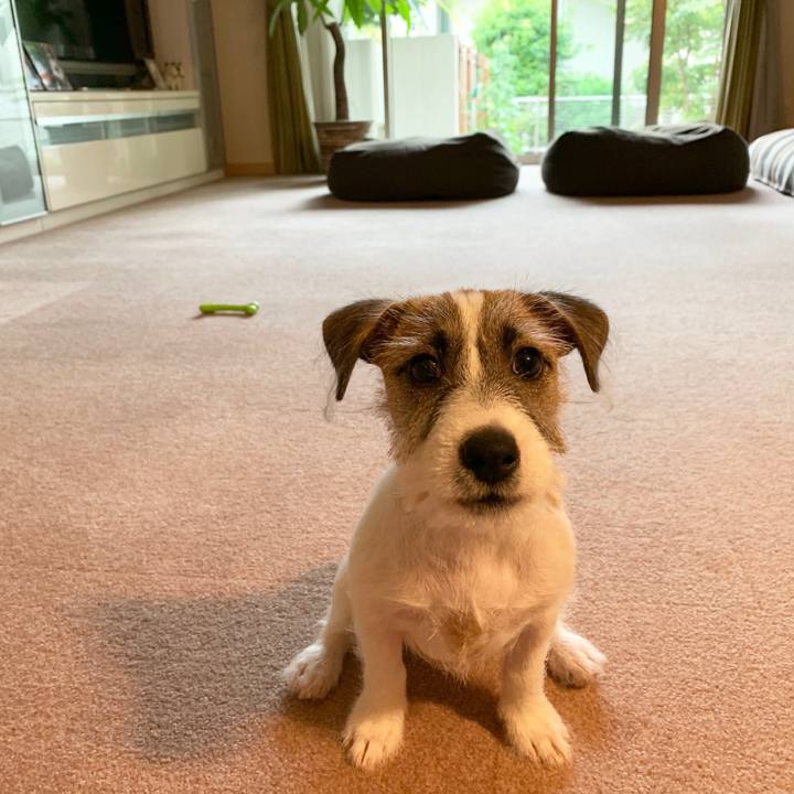 2aa78c8c 3247 47ca 9504 3ebed759e545 1561335327281