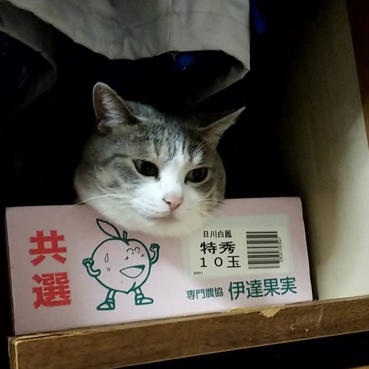 2aa7c6c6 f5e7 43be b8bd 89090114c4a9 1567430356002