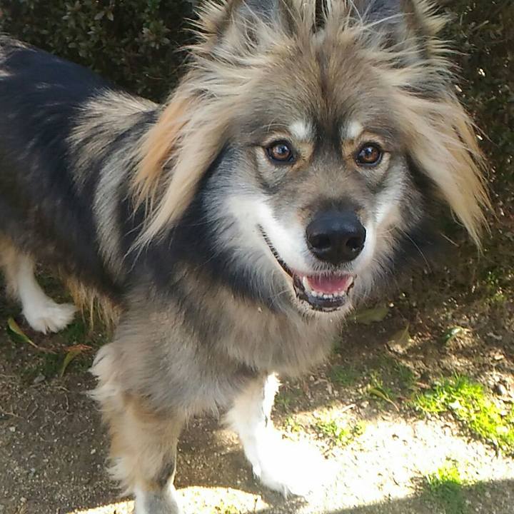 2aa7d0ce 16ab 4518 b1a1 1ca578597afa 1520591604662