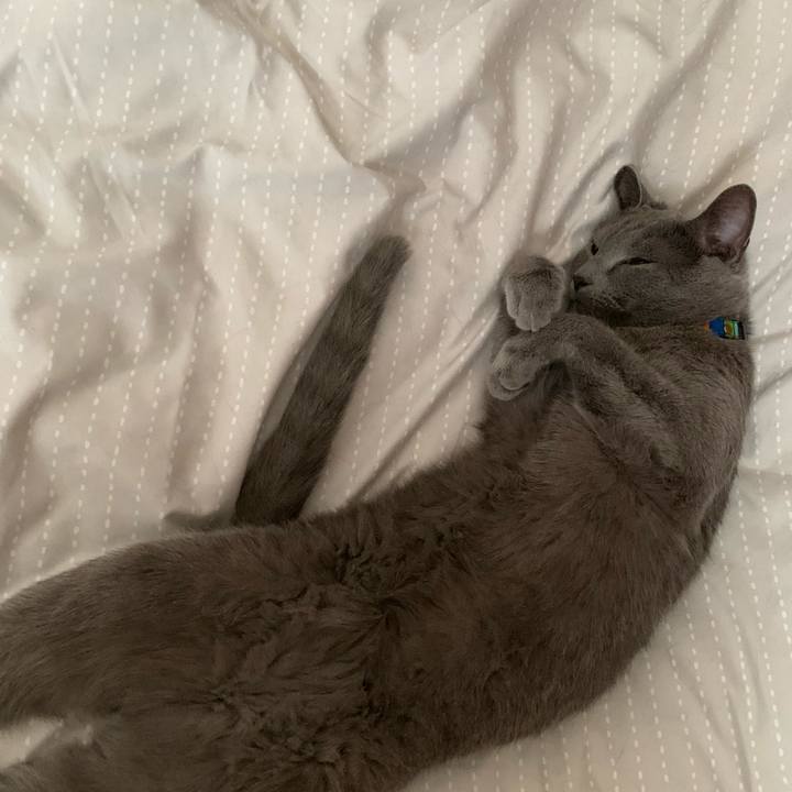 2aa827c0 e75a 46b4 bf93 65f427a765ec 1627342246052