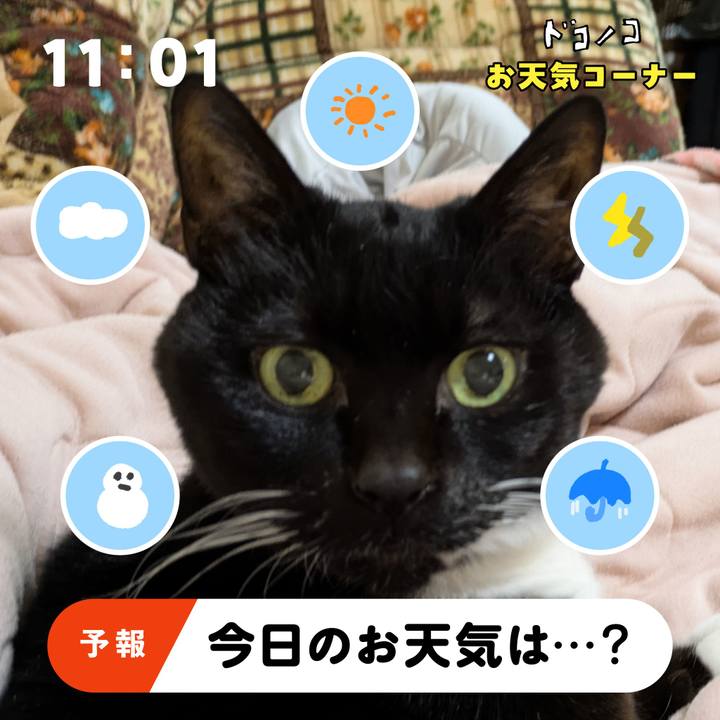 2aa8461a 2040 4fe6 855c 2d048e7dd2d7 1781910257469
