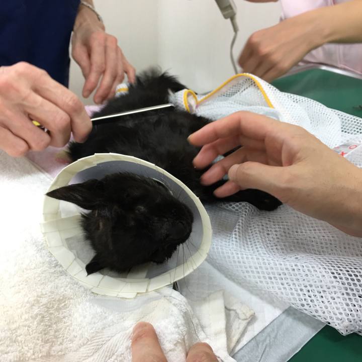 2aa8812b 0ff9 4328 bafc 743deb38bb16 1532454319700