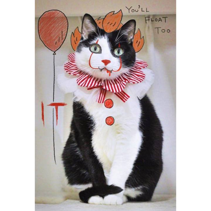 2aa88be7 f5a1 4f3e 9ce9 ed8fea4dcc8e 1589583718042