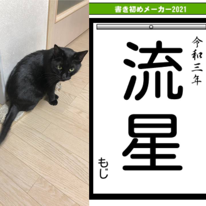 2aa8adb1 c713 4dbd 82c3 bae6502b26f1 1609581487015