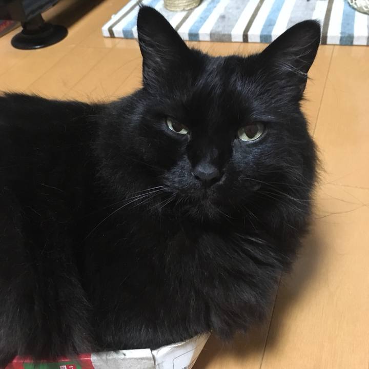 2aa8c031 a793 4374 8e5d a2b43a619f44 1530199862850