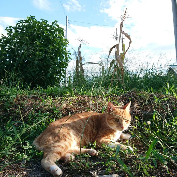 2aa9132a fc78 498d 9556 4756149d4d9a 1599376553803