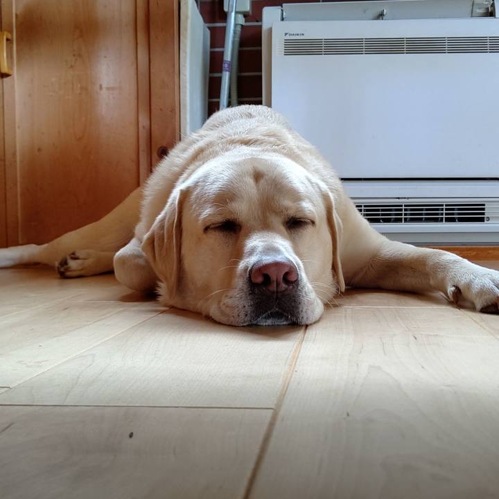 2aa921e1 a3d2 40cd 9ce1 c7f1c79937b0 1596255564937