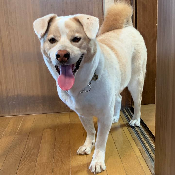 2aa985e5 8b84 434b 96ef 6aa0a8981e93 1570694778061