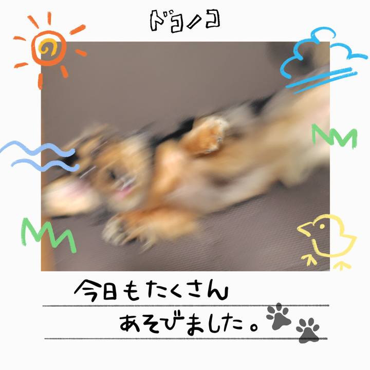 2aa986ef dd60 4308 b5a2 a03540b02533 1755298649908