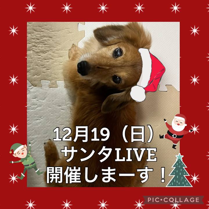 2aa99187 e8fd 4517 90a3 627cba80712a 1639224468879