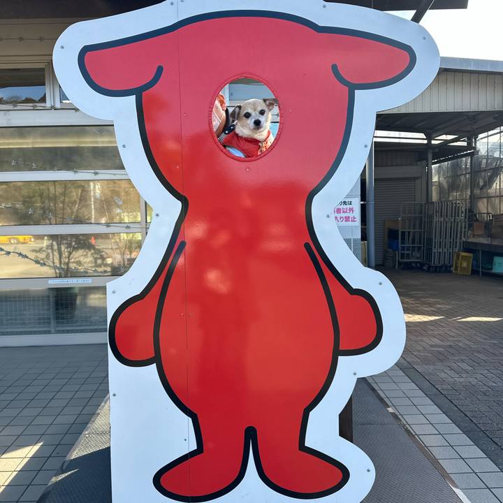 2aa9a072 0af2 4430 adda 3b3dfd757947 1674295205911