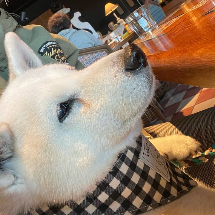 2aa9d651 23ff 45d8 934b b9d57bf23a59 1703819977327