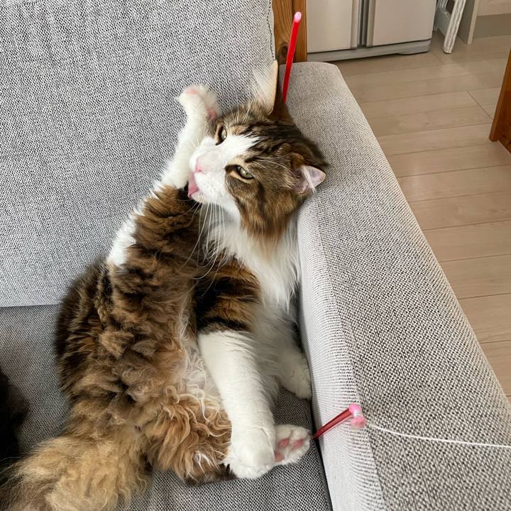 2aaa886f b29e 4bd7 a573 8d16f1011183 1656108463513