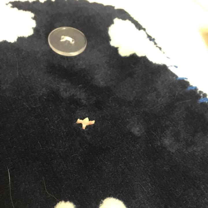 2aaa9351 016d 4861 9a83 a27b602cd007 1511008910480