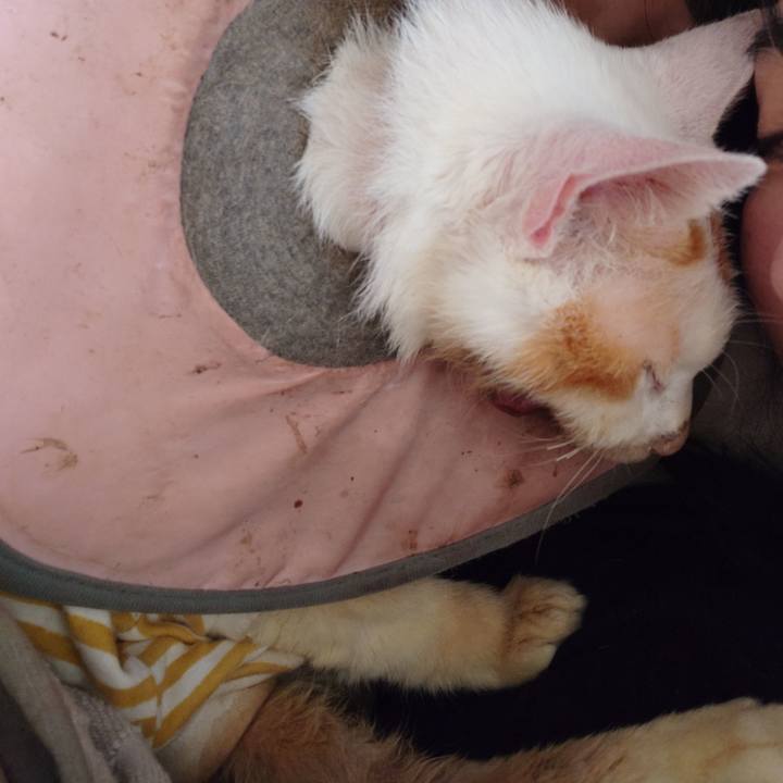 2aab0e49 6132 4cb8 a711 f40dbb7ead45 1768047441969