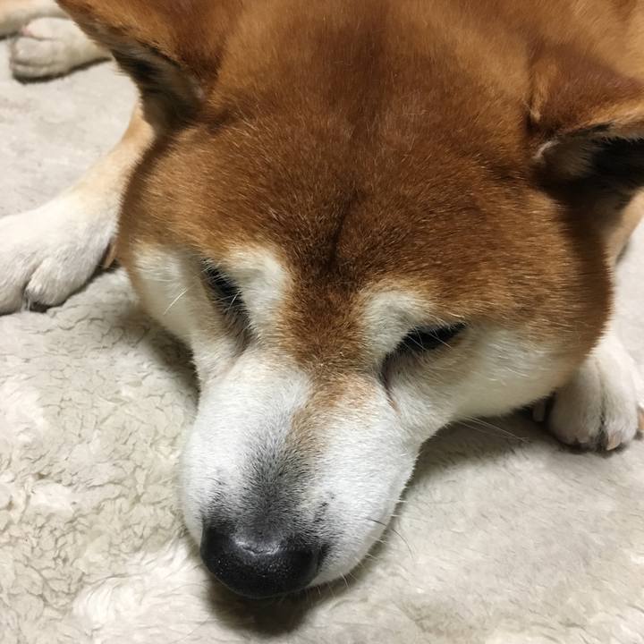 2aab16d1 2e0c 406c a9e9 f4bcbc87db78 1527333619059