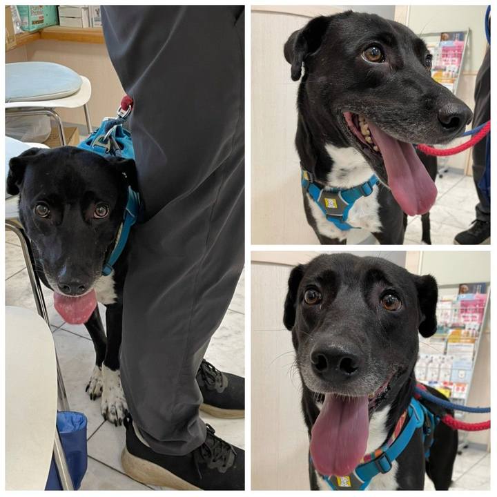 2aab2bdc b267 41d6 96df 1e02b9d5d41a 1625307246523