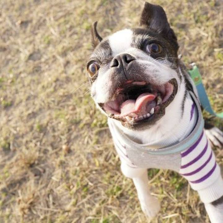 2aab3ae2 9283 48dc a381 68f77e2f4e02 1543739607466