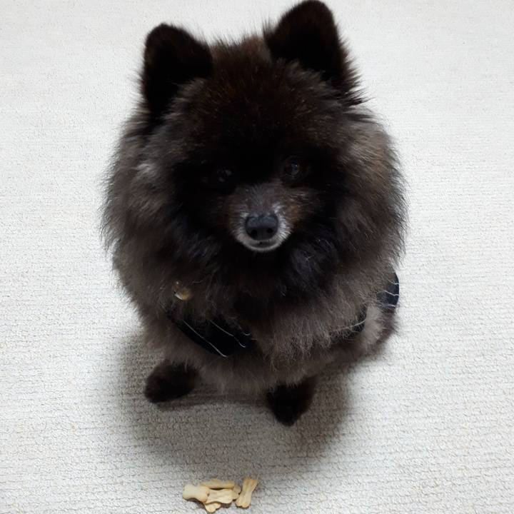 2aab6b0d 06ef 4a5e 9819 32fb8882d920 1520284267245