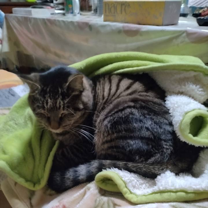 2aab7eb2 b468 41f6 a3ec b70f6018cb58 1674857952133