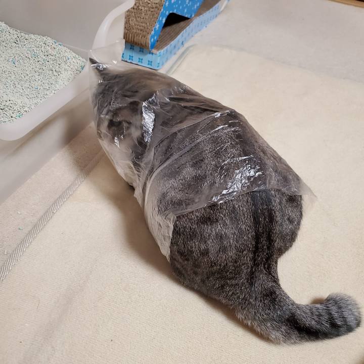 2aaba0e8 c484 4c8a bbd4 d0c7618538fb 1704898087427