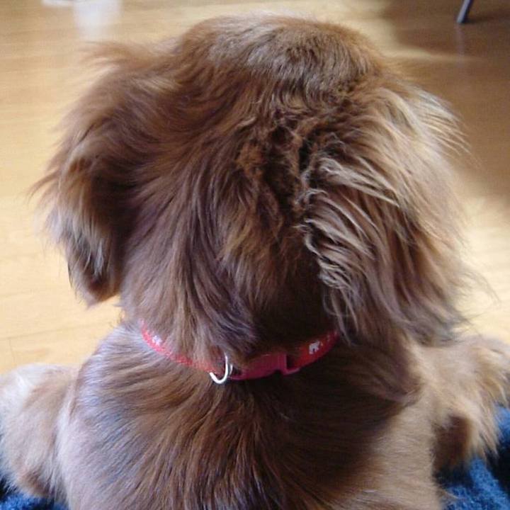 2aabbd29 6e2c 4de1 86cb c7a6dac65e22 1758214645943