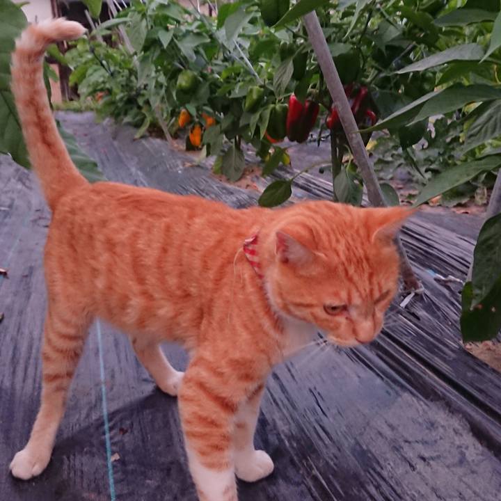 2aabbe4e 20f6 403c a1b8 70208864d7c9 1564567739517