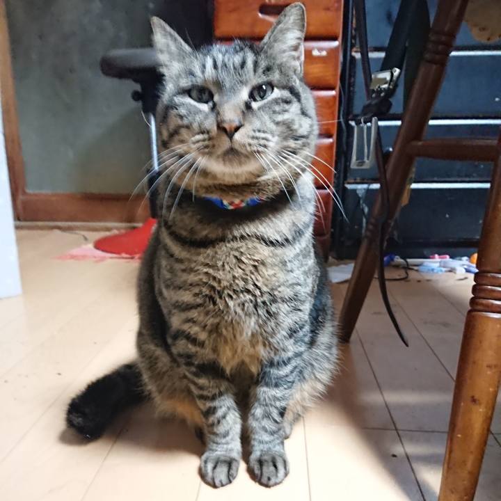 2aabc952 8528 47bb a170 22380c64f510 1642196572969