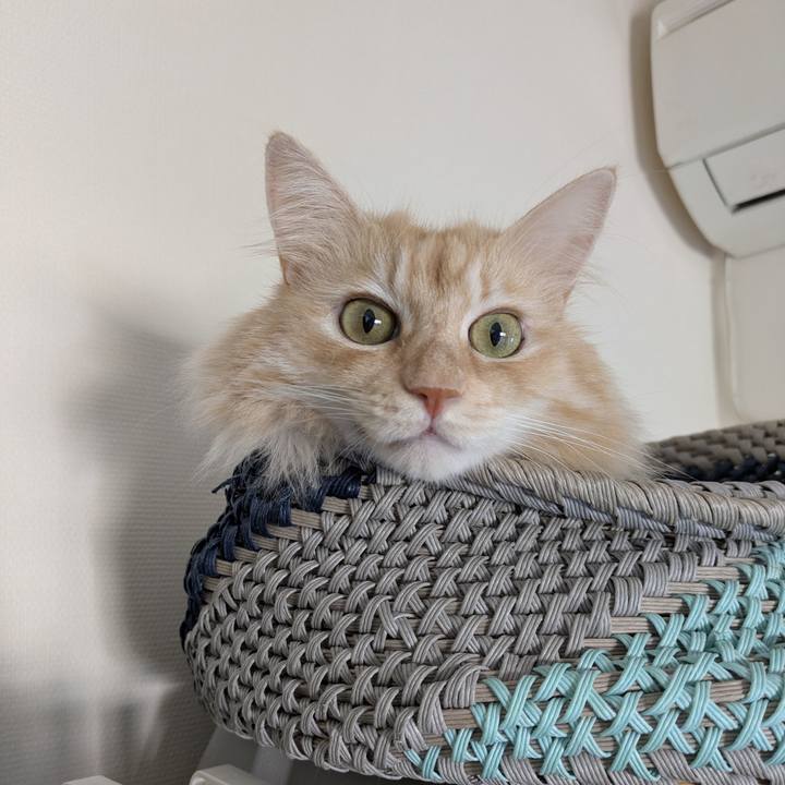 2aabdcdd 0f81 4595 ac26 76a1dc305674 1758935358343