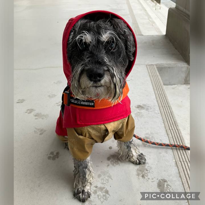 2aabfdbd 69e2 413d ae28 f2c07c96a317 1725060874274