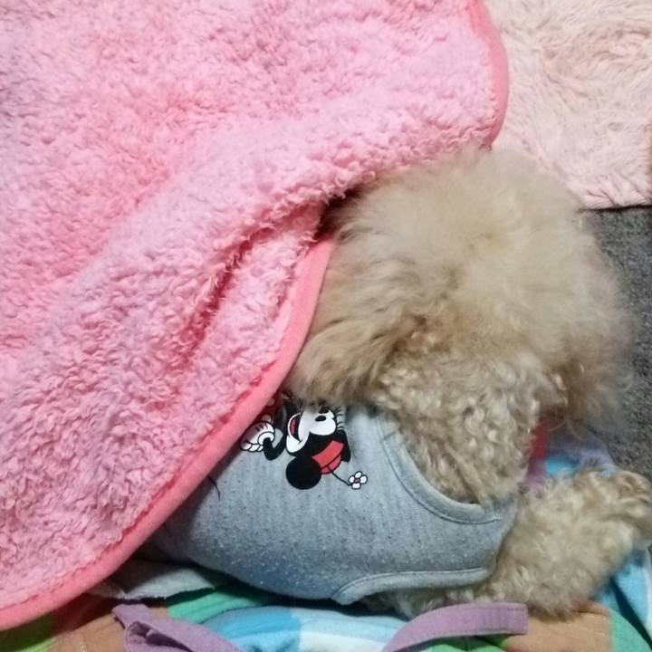 2aac0dca c559 45c2 8866 e19a15ad3f82 1539605119911