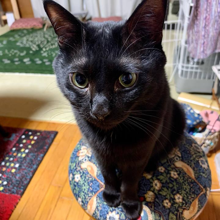 2aac0f3c d573 4922 a13f 0608f43de484 1682684366584