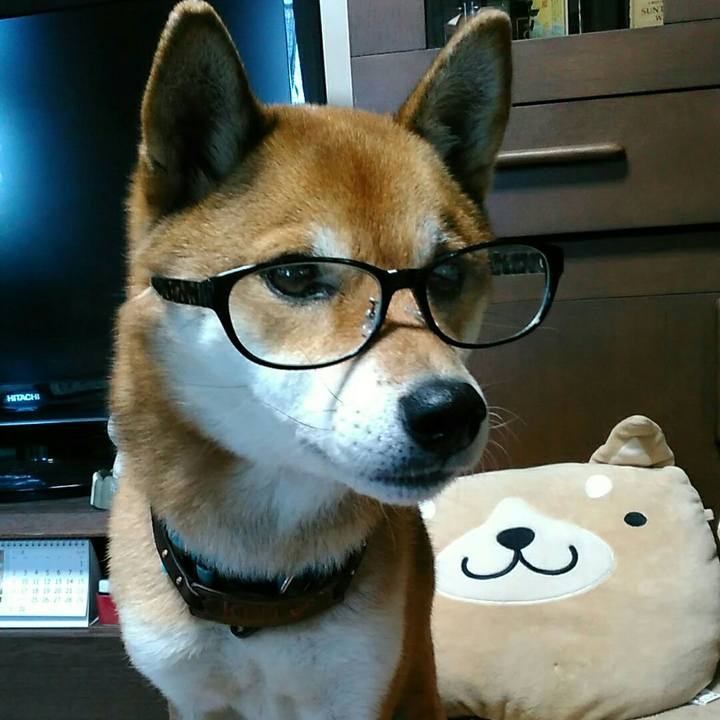 2aac2525 7aba 4a5f 873e ca47e5c79a1d 1544752202246