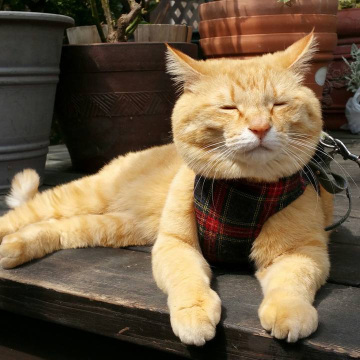 2aac42fc 971f 48bb 8f41 e6043c4097a1 1524369366344