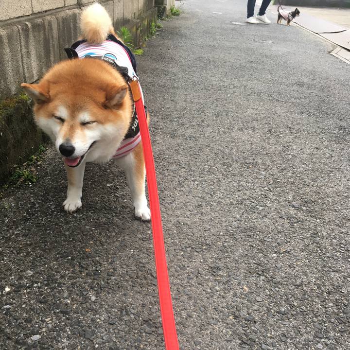 2aac445b fa54 4e2e 9e4a dab64d4f56f6 1594375085853