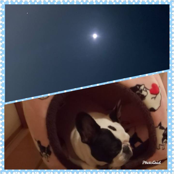 2aac4ea7 8422 42f7 8867 f578d876eebd 1601560573000