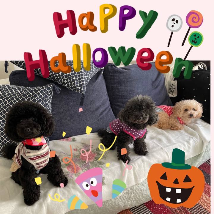 2aac8121 4b52 466b 8ed7 479f47c2e43e 1698618679619