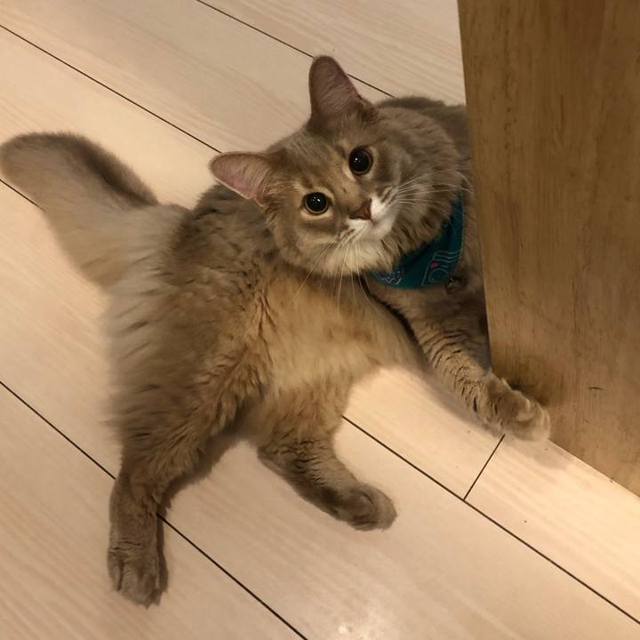 2aac869a deda 4432 a748 927d5da9e0e9 1634457547803