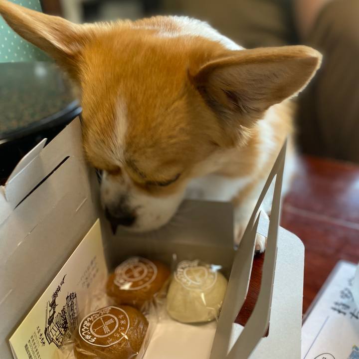 2aac9482 3d2e 45e9 89ce 8df410b00cf9 1656129702918